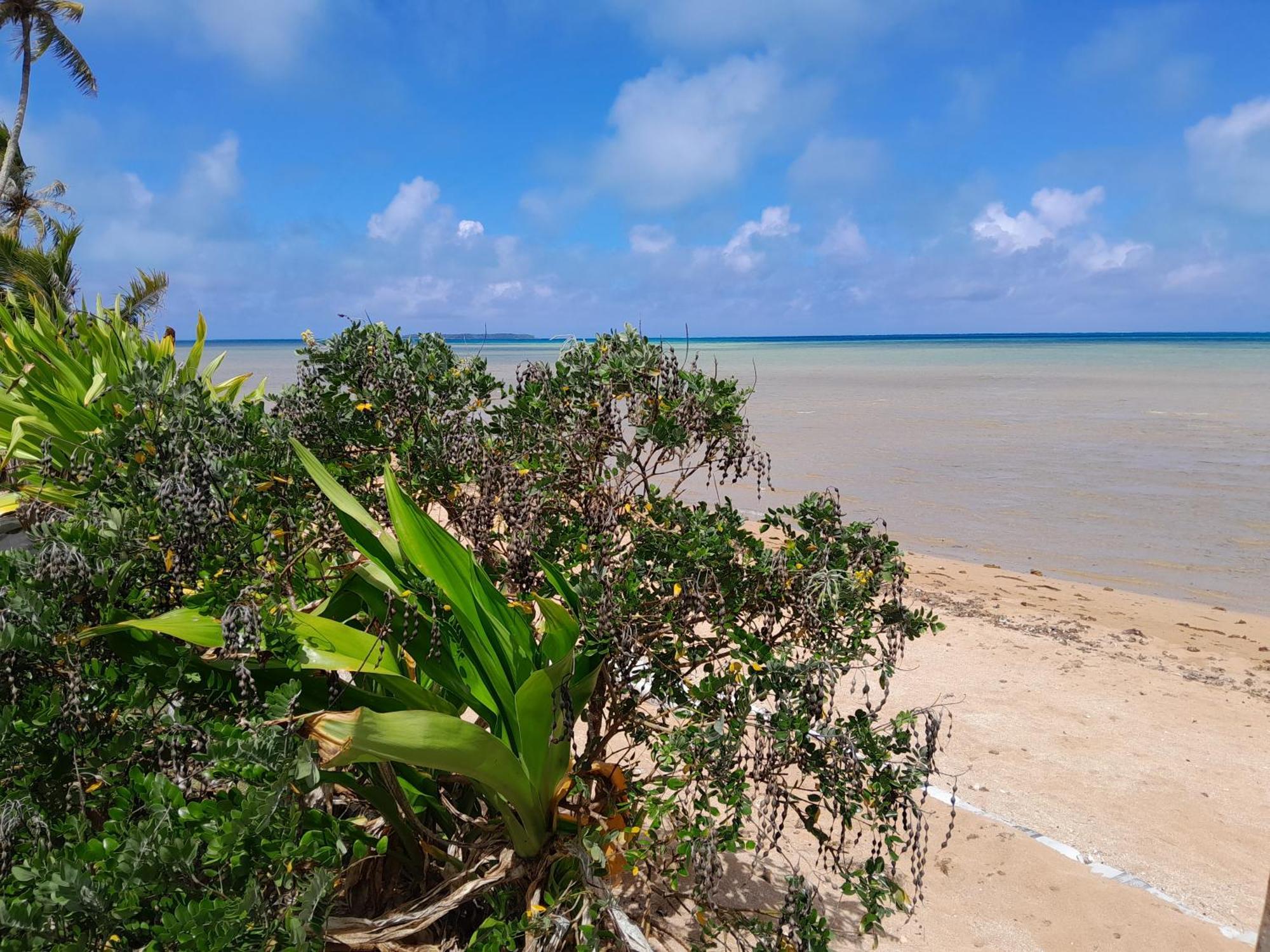 Mara'Ai Le Spot Tubuai Chambre Triple Taahueia Deluxe Sdb Privee Avec Piscine Mataura Esterno foto