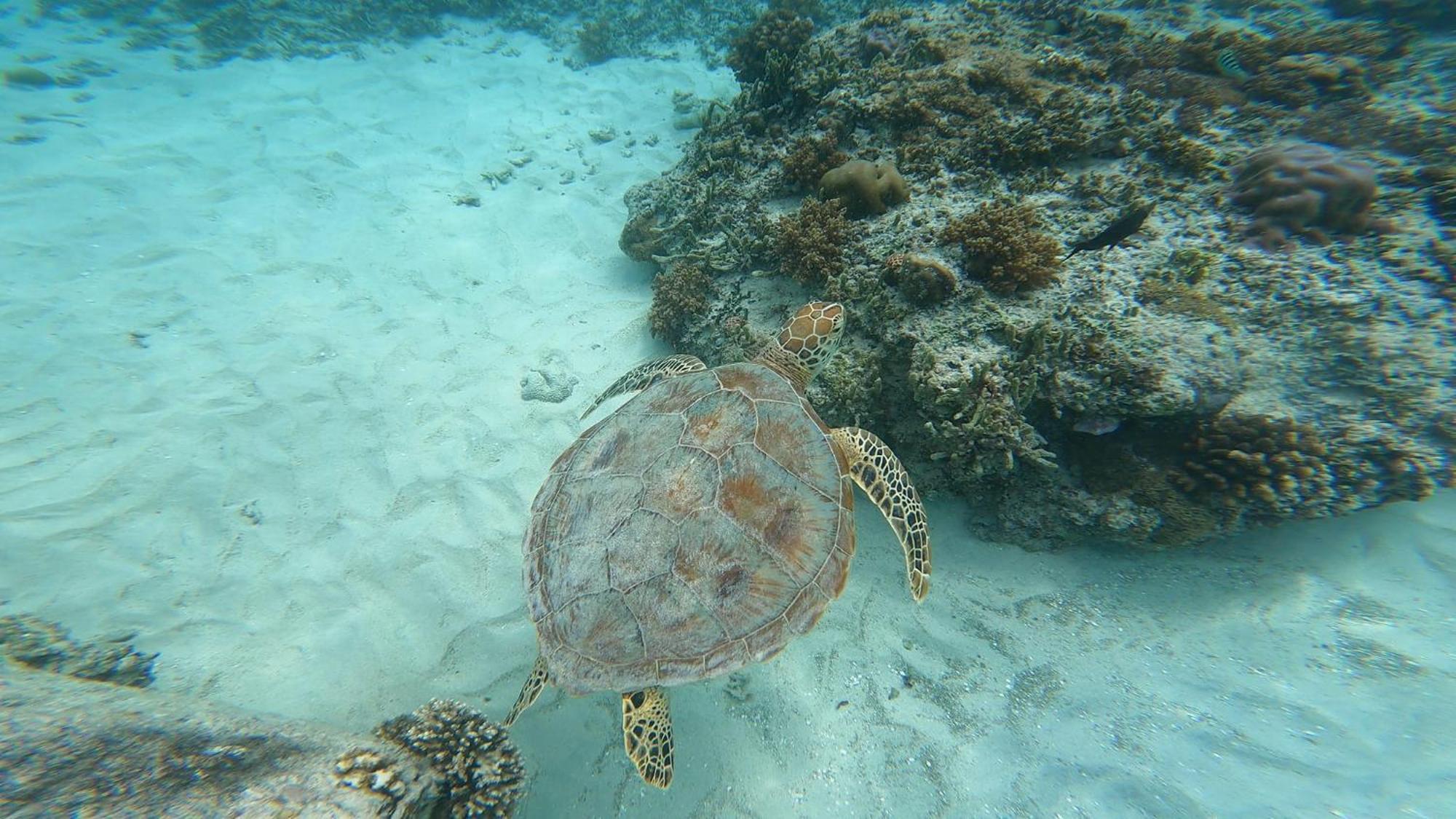 Mara'Ai Le Spot Tubuai Chambre Triple Taahueia Deluxe Sdb Privee Avec Piscine Mataura Esterno foto
